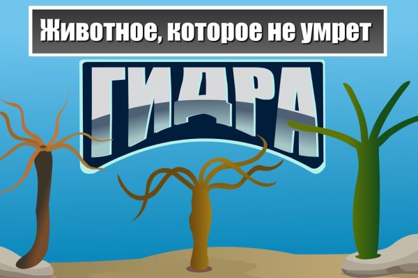 Kraken darknet ссылка тор