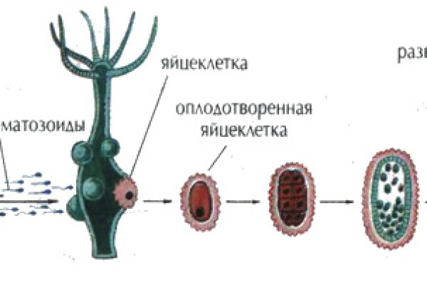 Kraken 13at сайт