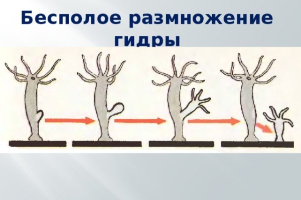 Кракен магазин тор