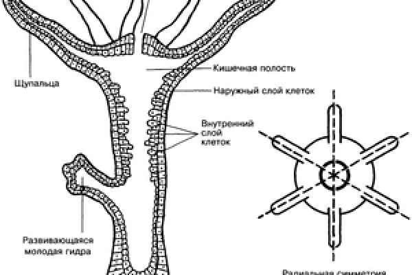 Ссылки на даркнет